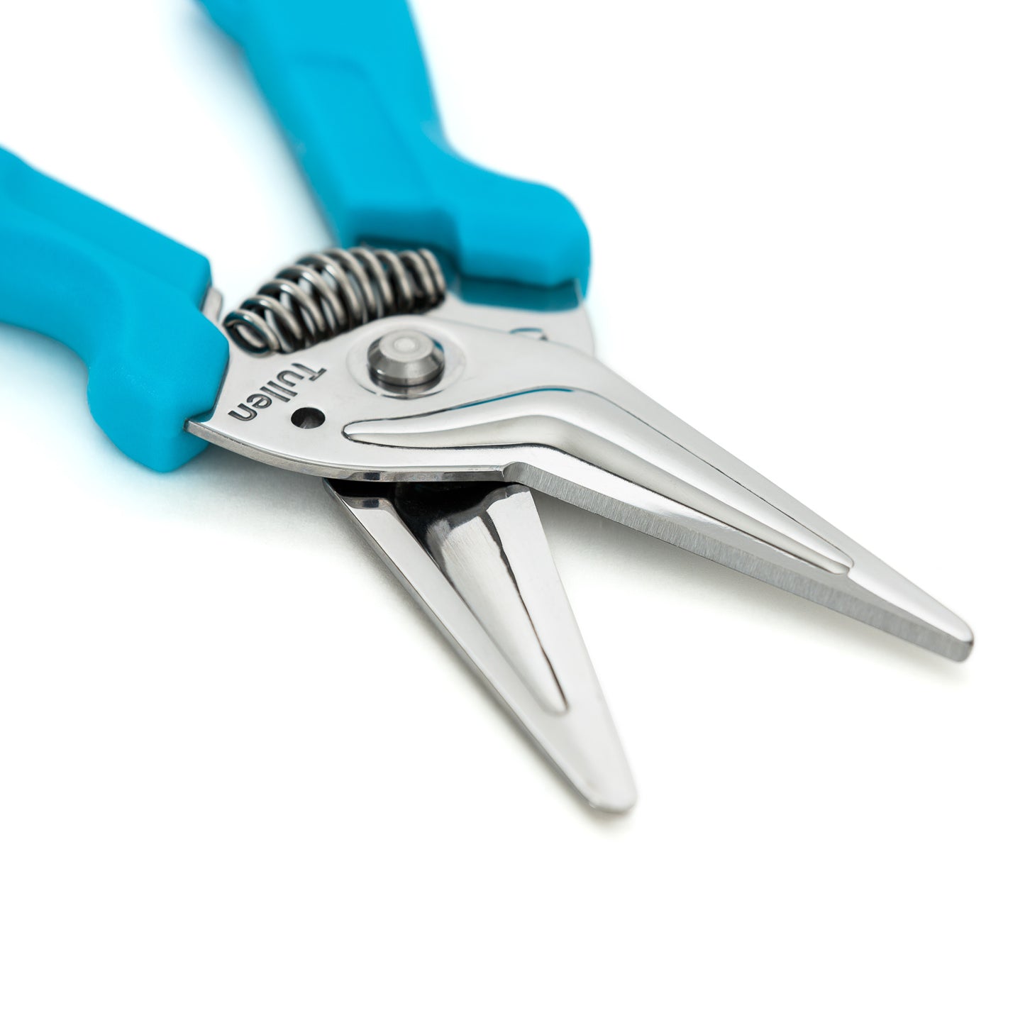 Blue Tullen Snips
